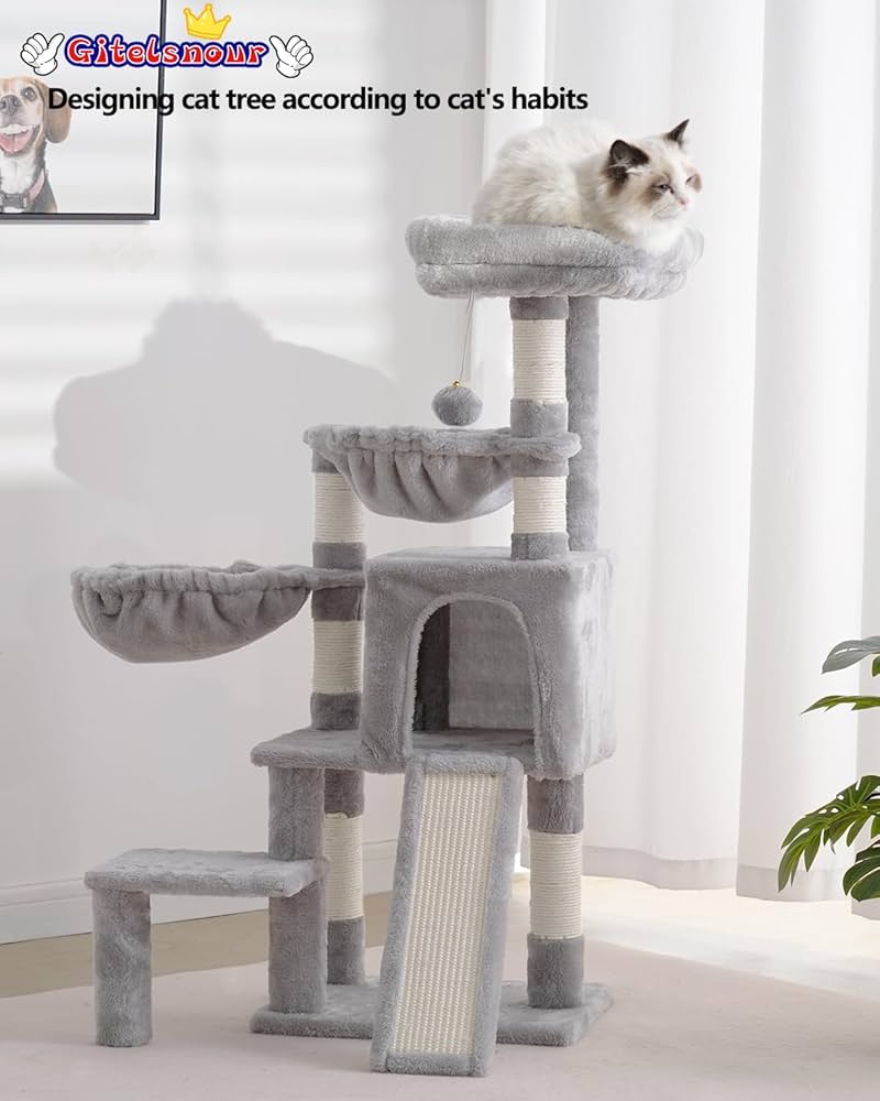 from cat st　10冊 $_57.JPG?set_id=8800005007